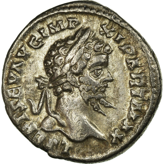 Monedă, 
  
  Septimius Severus, 
  
  Denariu