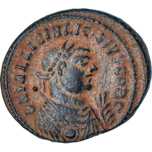 Licinius al II-lea, 
  
  Follis, 
  
  318-320