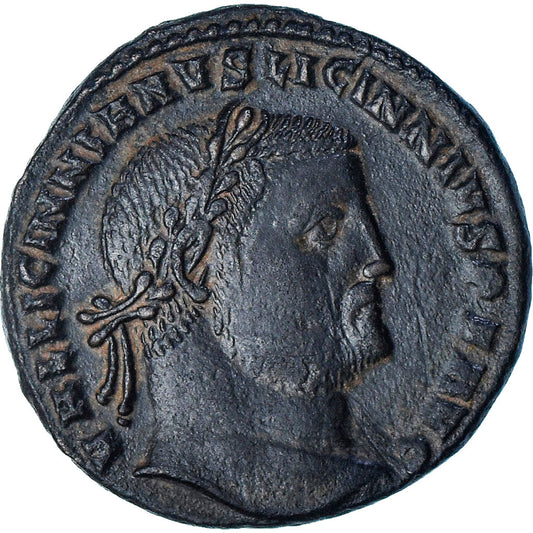 Licinius I, 
  
  Follis, 
  
  309-310