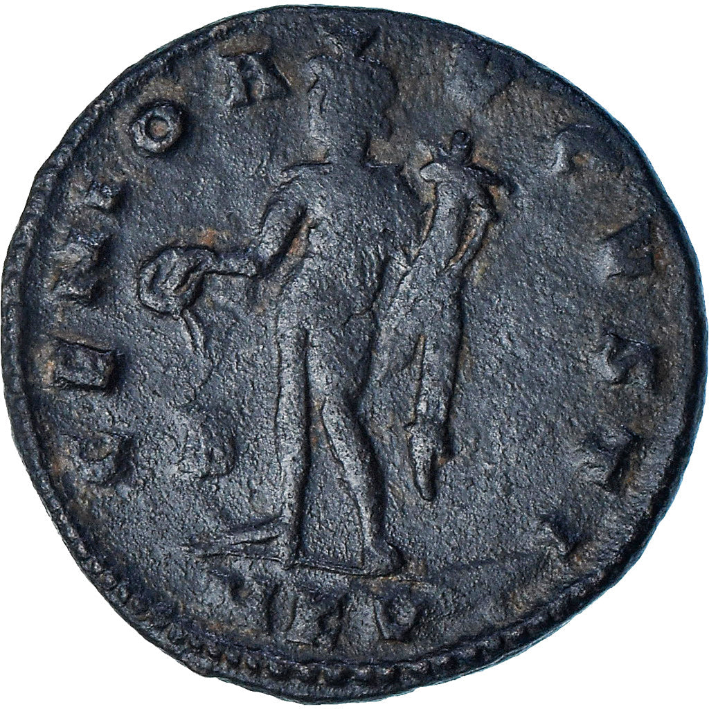 Licinius I, 
  
  Follis, 
  
  309-310