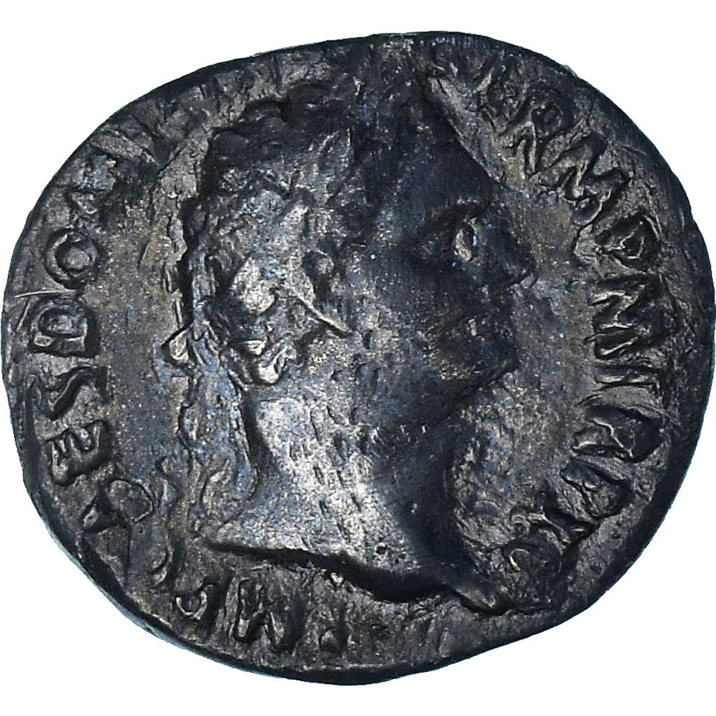 Domitian, 
  
  Denariu, 
  
  95-96