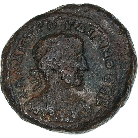 Egipt, 
  
  Gordian III, 
  
  Tetradrahma