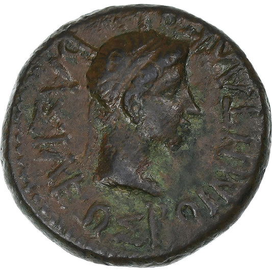 Rhoemetalkes I și Augustus, 
  
  Bronz Æ, 
  
  27 î.Hr.-14 d.Hr