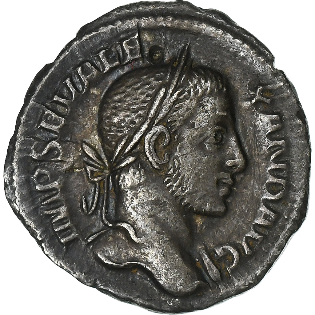 Severus Alexandru, 
  
  Denariu, 
  
  229