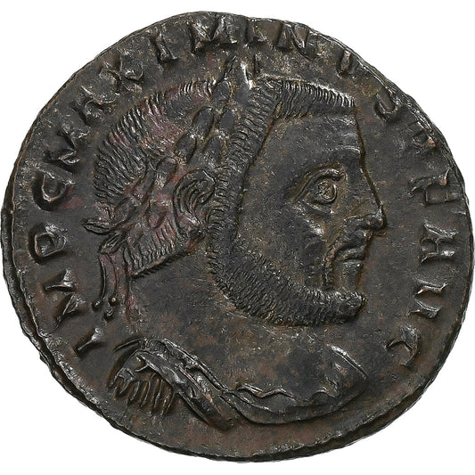 Maximinus al II-lea, 
  
  Follis, 
  
  312-313