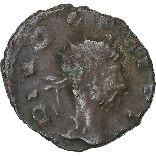 Divus Claudius II Gothicus, 
  
  Antoninianus, 
  
  271