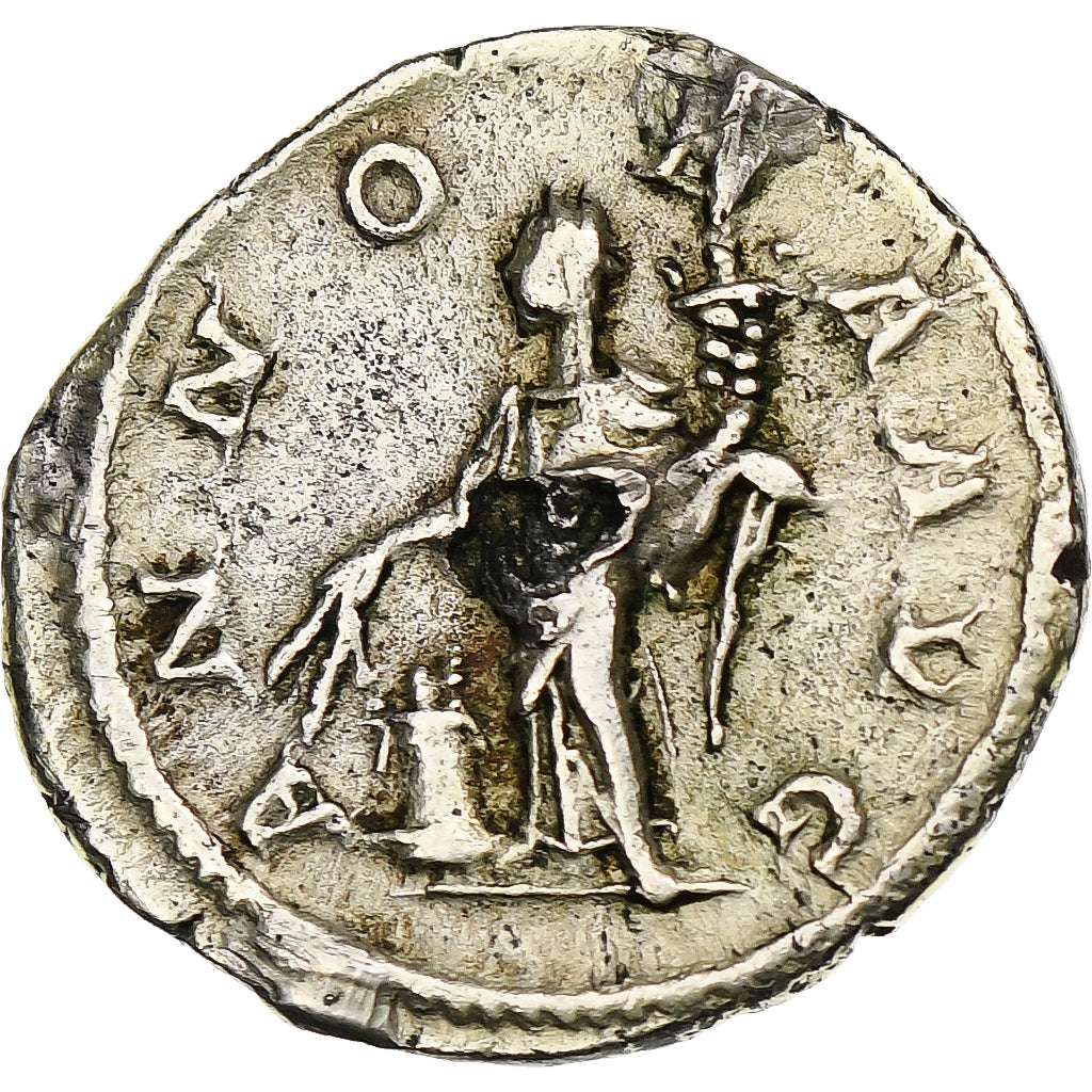 Severus Alexandru, 
  
  Denariu, 
  
  228