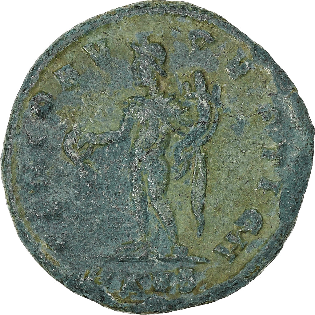 Maximinus al II-lea, 
  
  Follis, 
  
  311