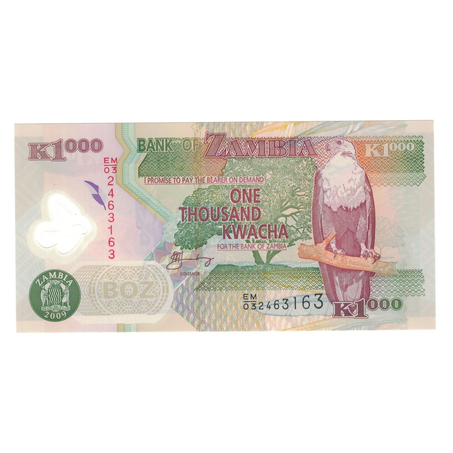 bancnota, 
  
  Zambia, 
  
  1000 Kwacha