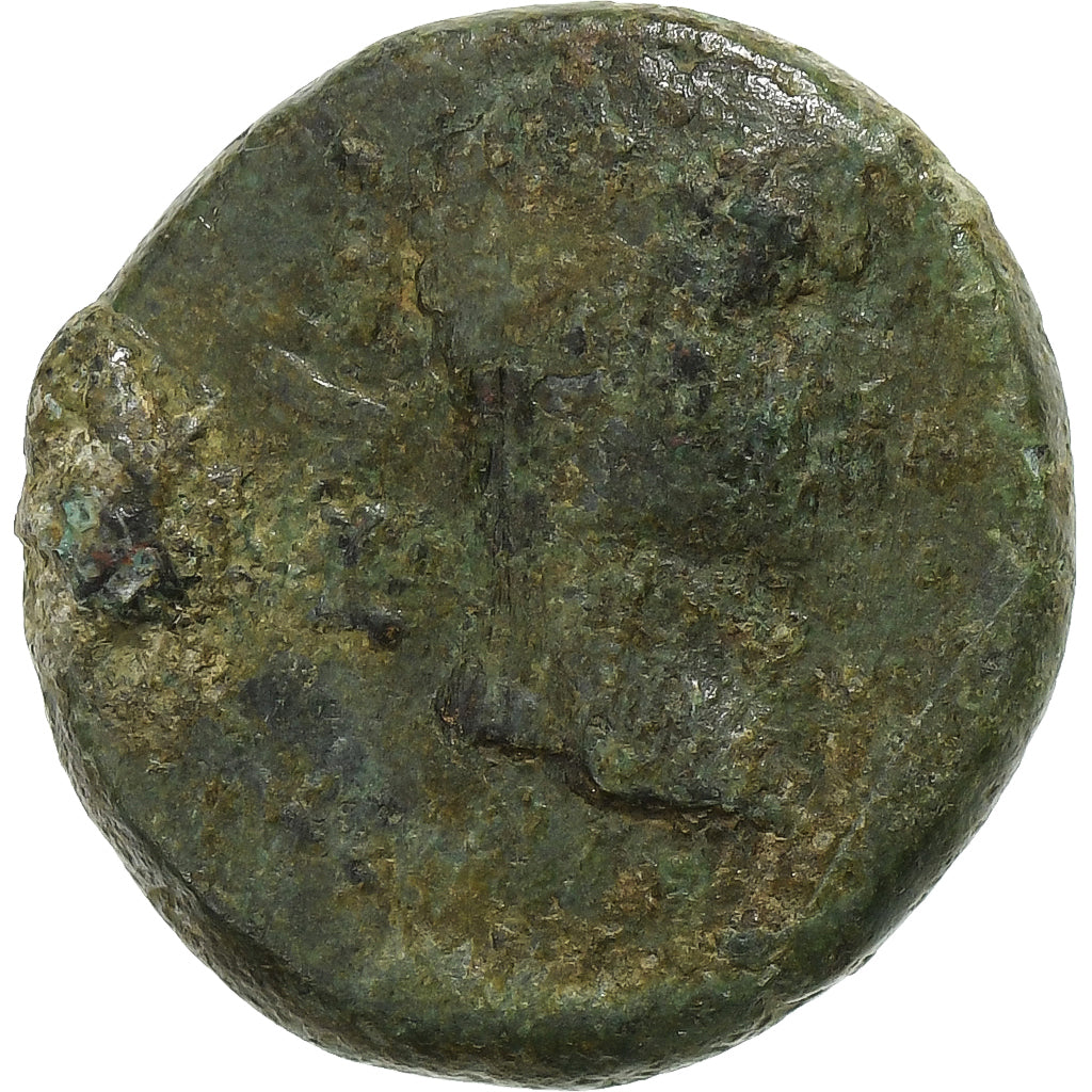 Troas, 
  
  Augustus, 
  
  Æ Unitate