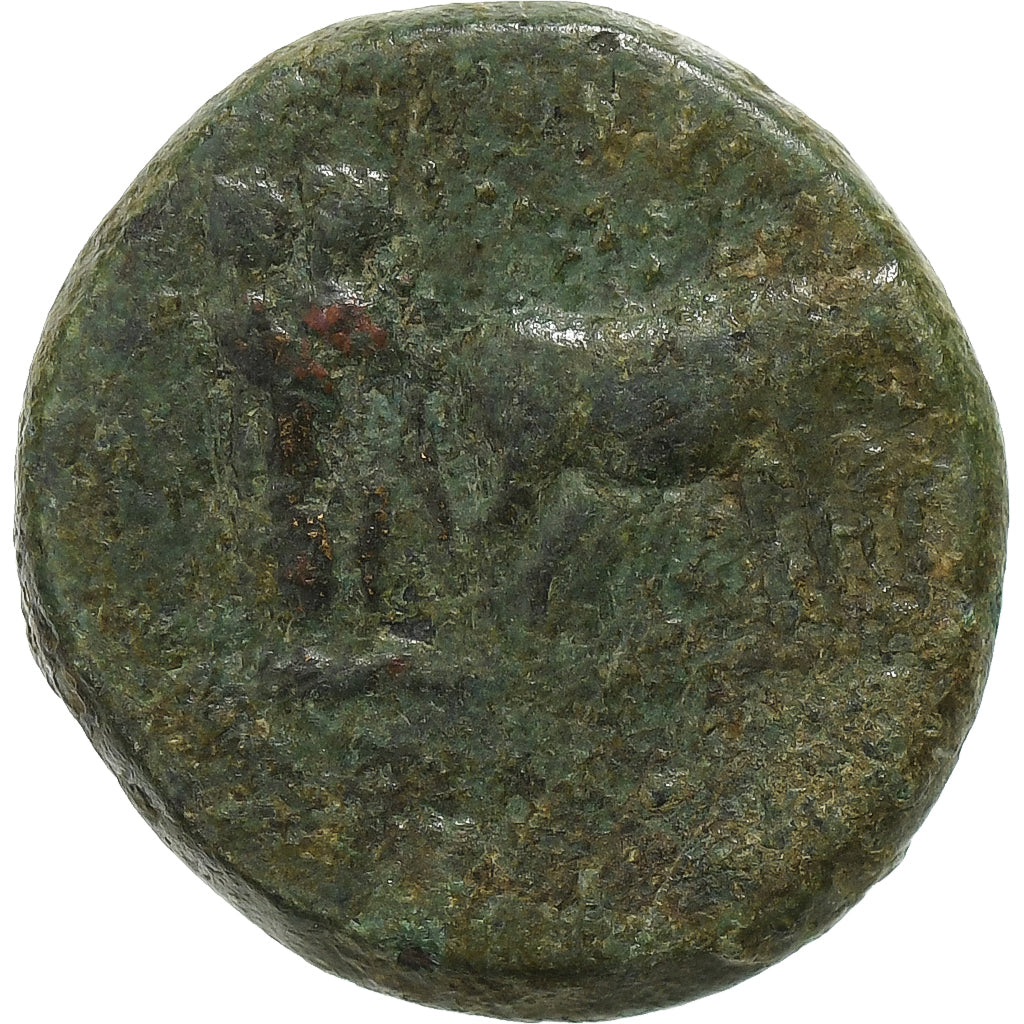 Troas, 
  
  Augustus, 
  
  Æ Unitate