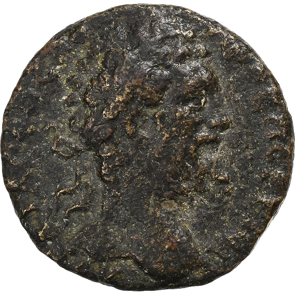 Cilicia, 
  
  Septimius Severus, 
  
  Æ Unitate