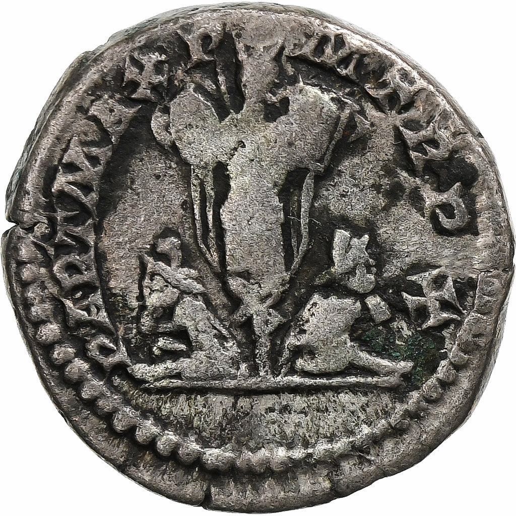 Septimius Severus, 
  
  Denariu, 
  
  202