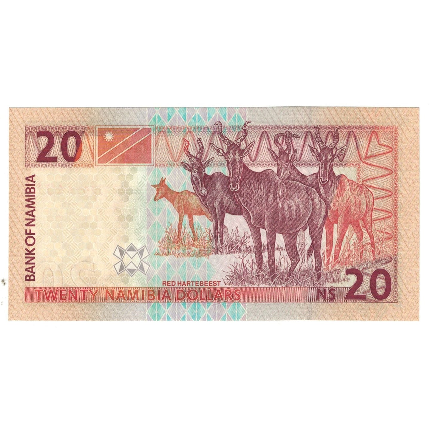 bancnota, 
  
  Namibia, 
  
  20 de dolari namibieni