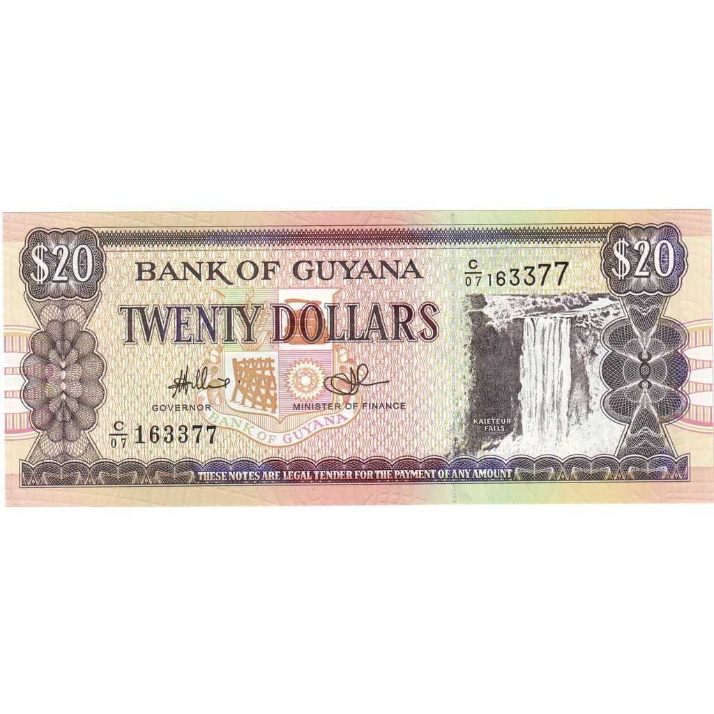 Guyana, 
  
  20 de dolari, 
  
  Nedatat (1996)