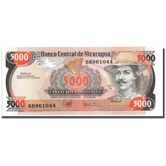 bancnota, 
  
  Nicaragua, 
  
  5000 Cordobas