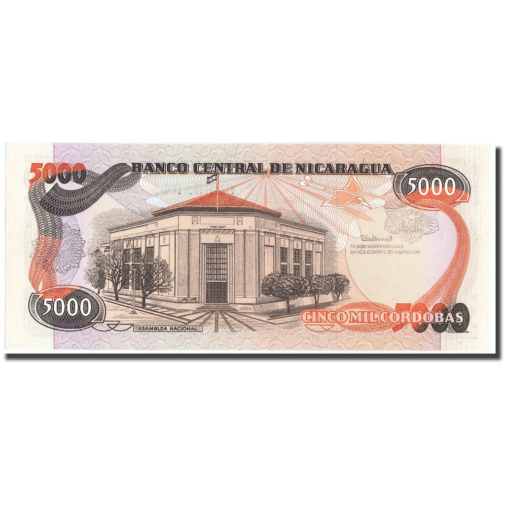 bancnota, 
  
  Nicaragua, 
  
  5000 Cordobas