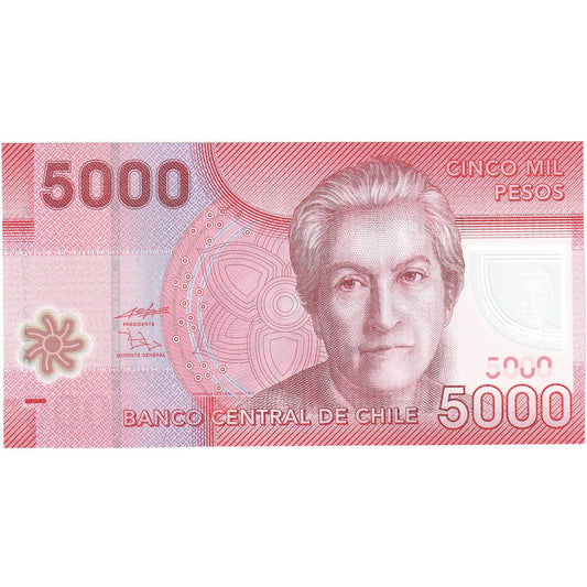 Chile, 
  
  5000 de pesos, 
  
  2009