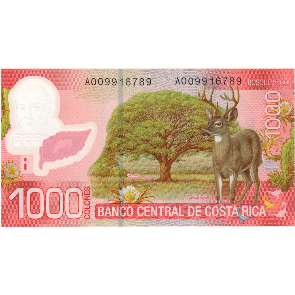 Costa Rica, 
  
  1000 de coloni, 
  
  2009