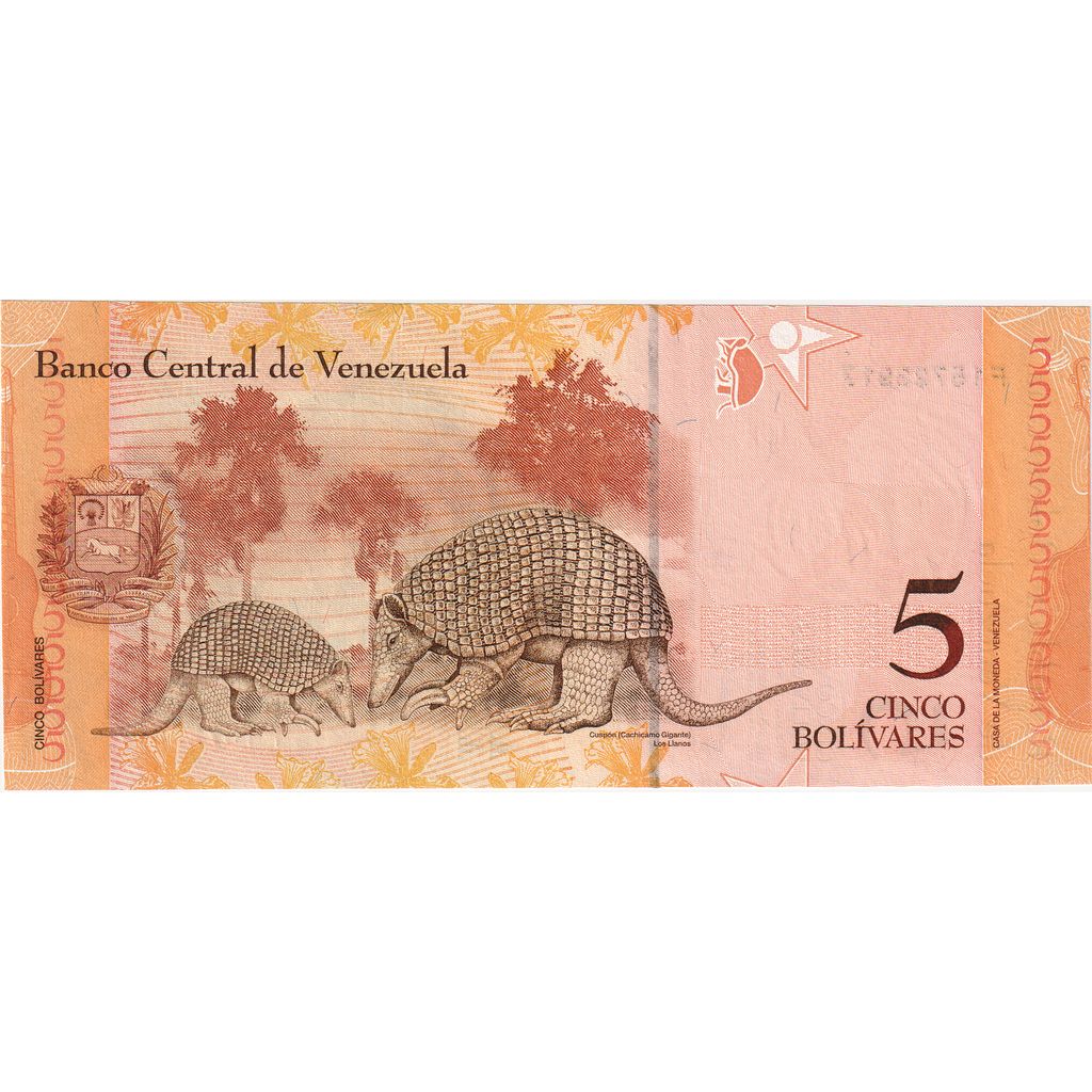 Venezuela, 
  
  5 bolivar, 
  
  24-05-2007