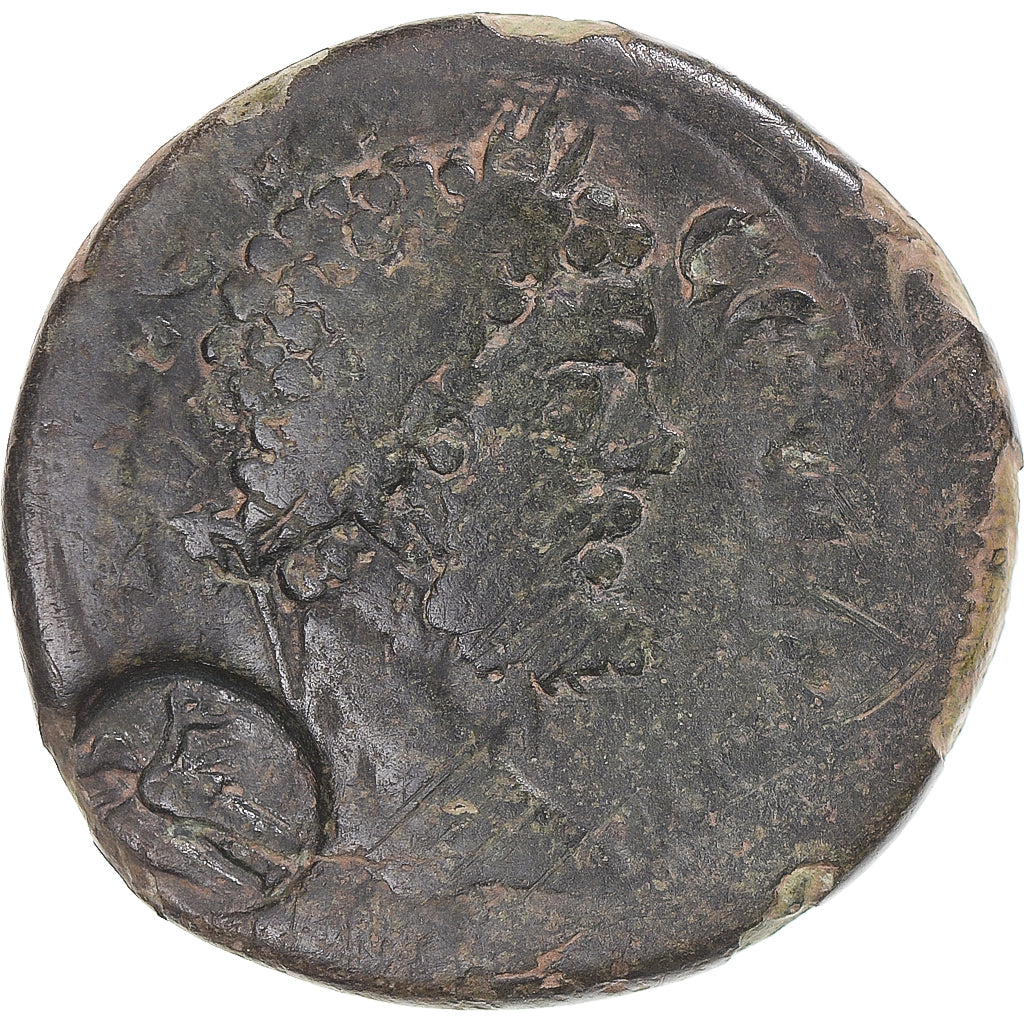 Monedă, 
  
  Bitinia, 
  
  Septimius Severus