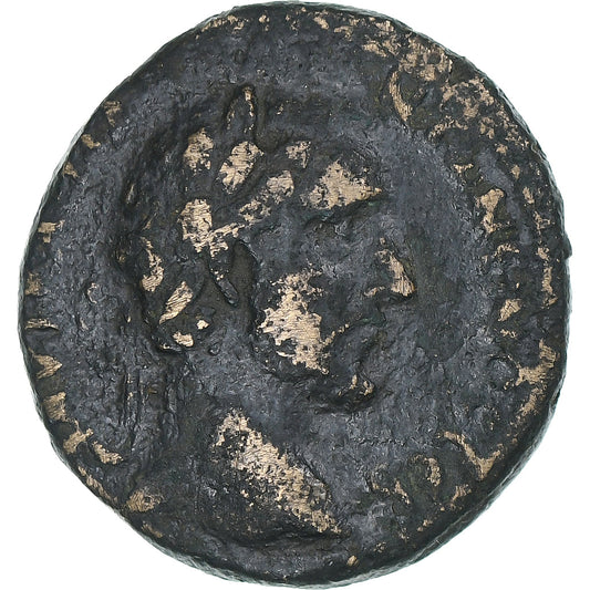 Fenicia, 
  
  Antoninus Pius, 
  
  Æ