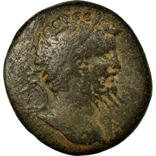 Monedă, 
  
  Pontos, 
  
  Septimius Severus