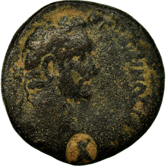 Monedă, 
  
  Seleucis și Pieria, 
  
  Antoninus Pius