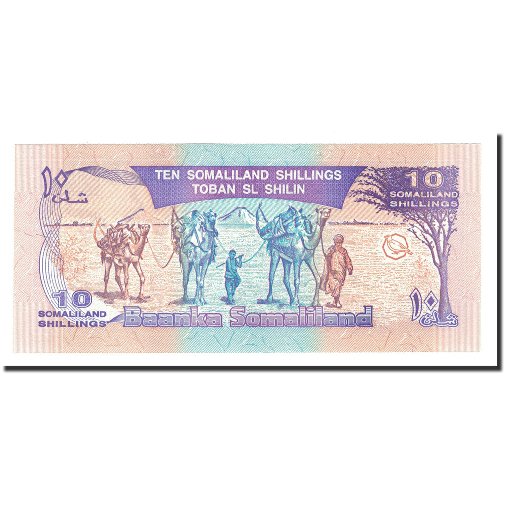 bancnota, 
  
  Somaliland, 
  
  10 șilingi = 10 șilini