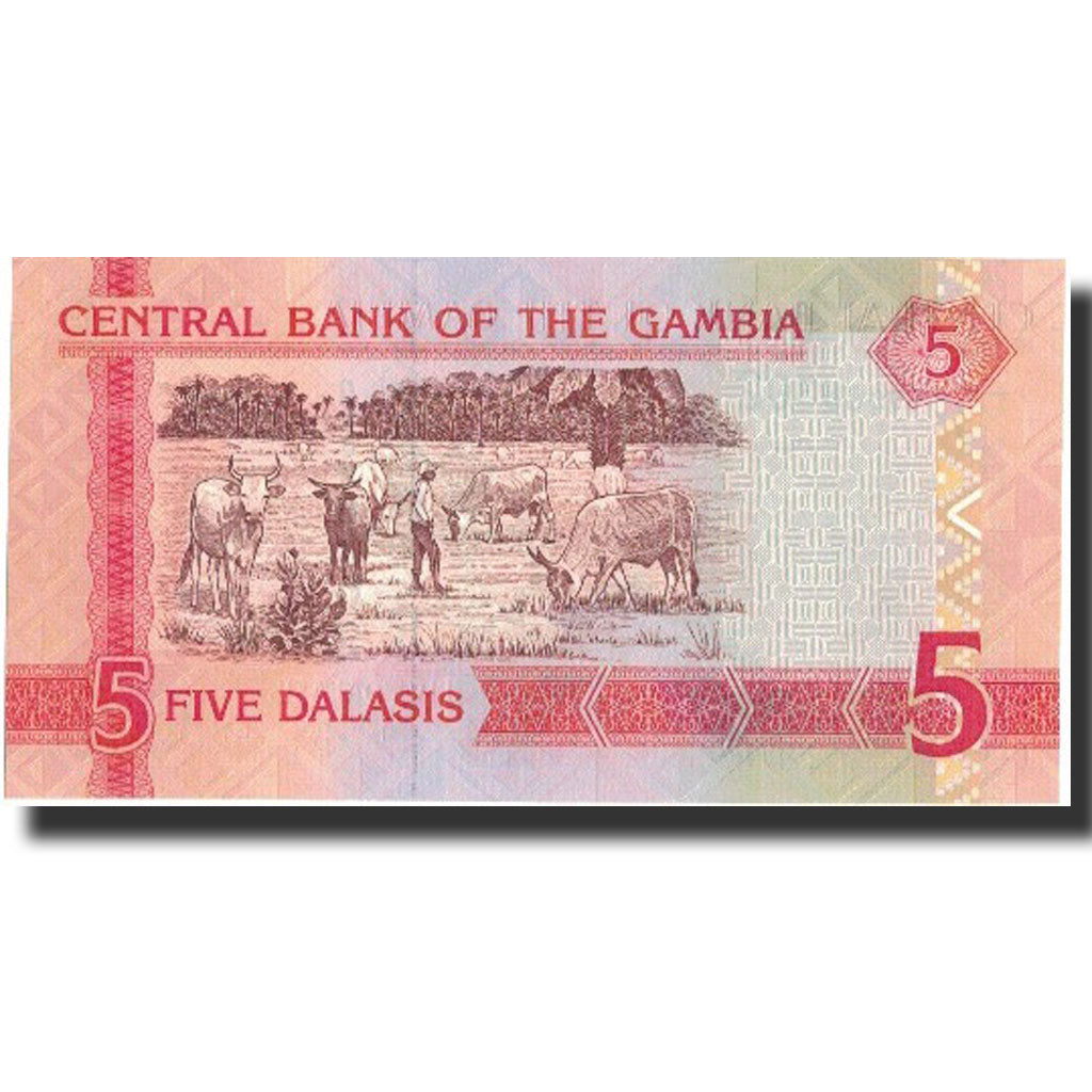 bancnota, 
  
  Gambia, 
  
  5 Dalasis