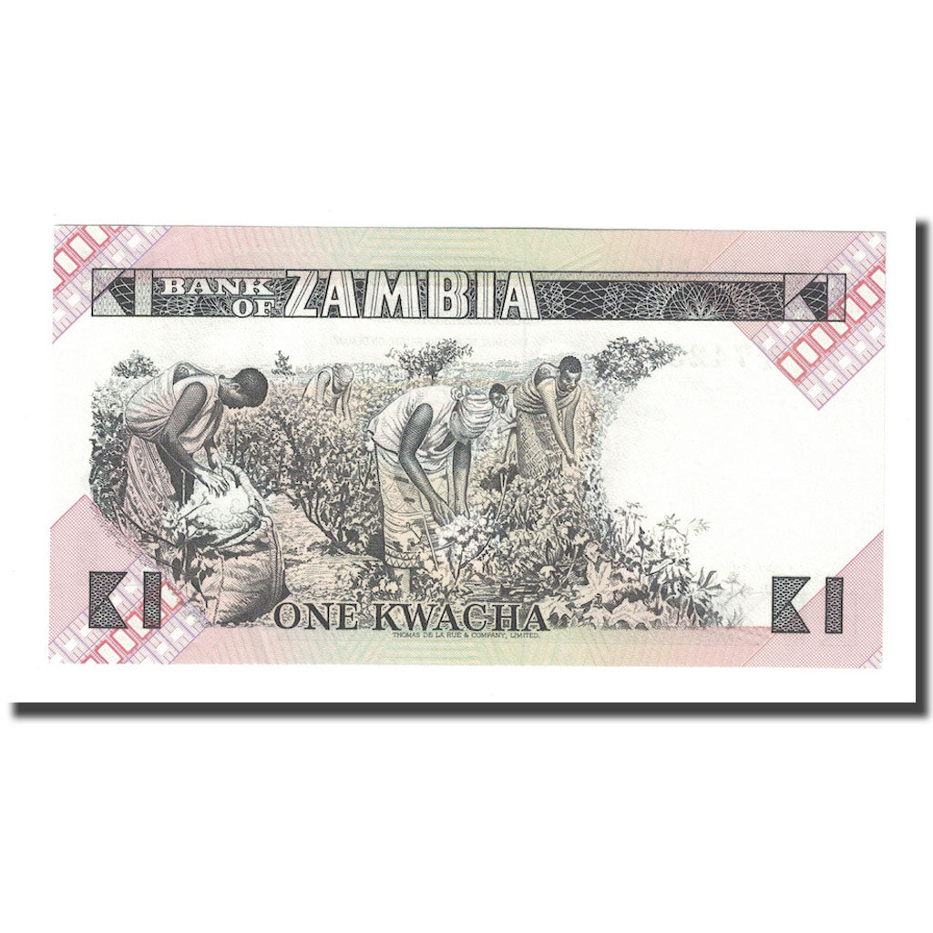 bancnota, 
  
  Zambia, 
  
  1 Kwacha