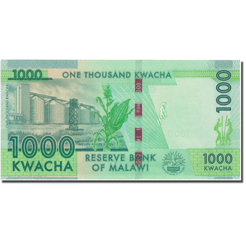 bancnota, 
  
  Malawi, 
  
  1000 Kwacha