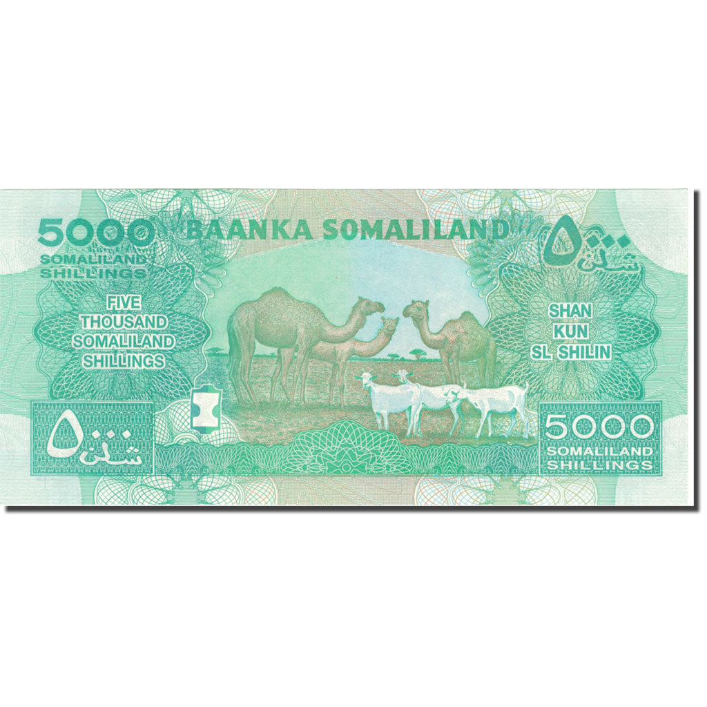 bancnota, 
  
  Somaliland, 
  
  5000 de șilingi